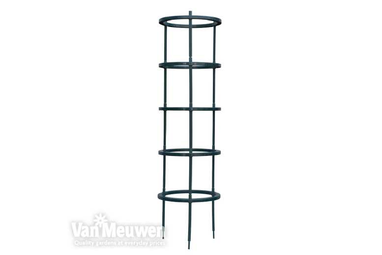 Tomato Plant Support Set - 5-Piece Durable Framework for Vigorous Growth | Wowcher