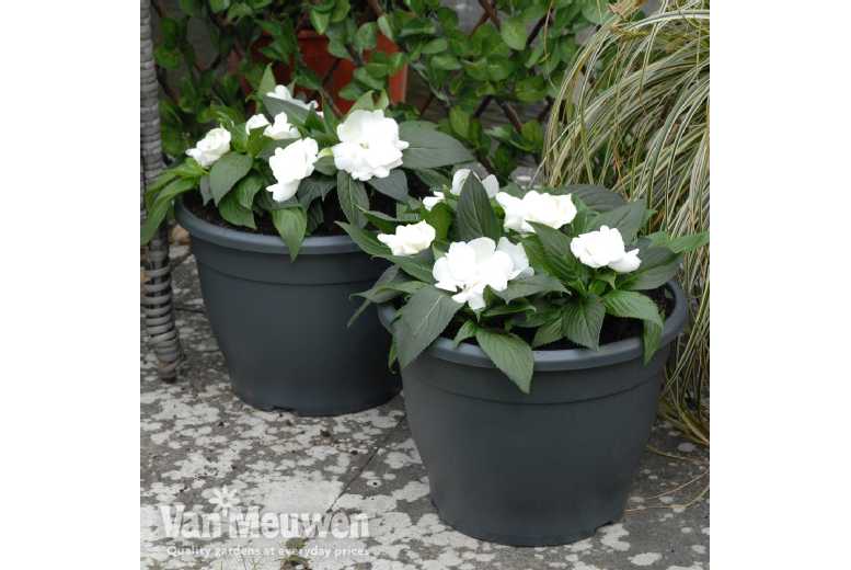 Sabina Dark Grey Deluxe Patio Planters - 32cm Lightweight Outdoor Pots | Wowcher