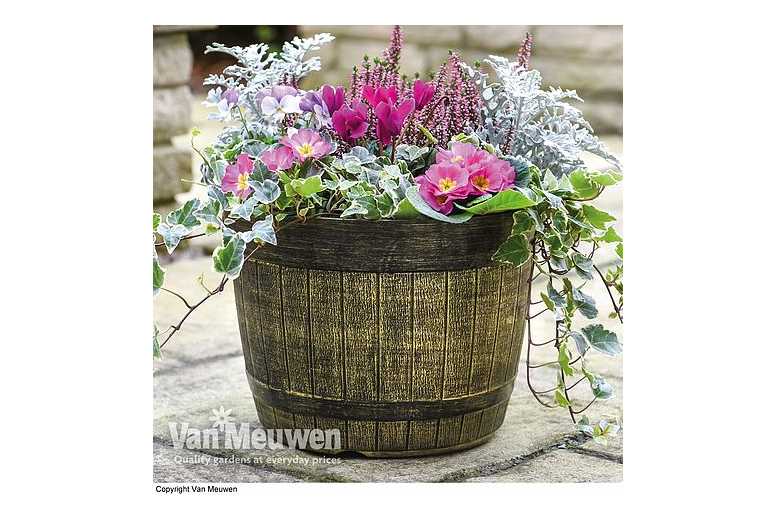 Rustic Whisky-Barrel Patio Planter – Weatherproof, 30cm Diameter | Wowcher