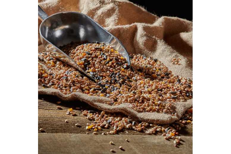 All-Season Songbird-Friendly Bird Food Mix – Nutrient-Rich, Wildlife-Supporting Seed Blend | Wowcher