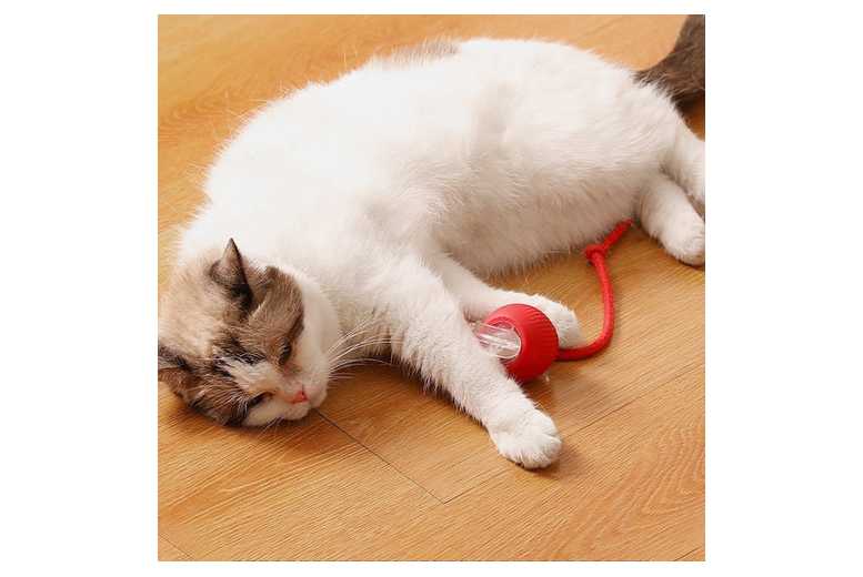 Automatic Interactive Cat Rolling Ball Toys | Wowcher Automatic Interactive Cat Rolling Ball Toys | Wowcher