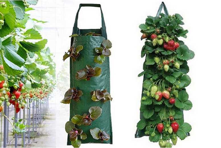 Versatile Hanging Planter Bag for Vegetables & Flowers | Wowcher