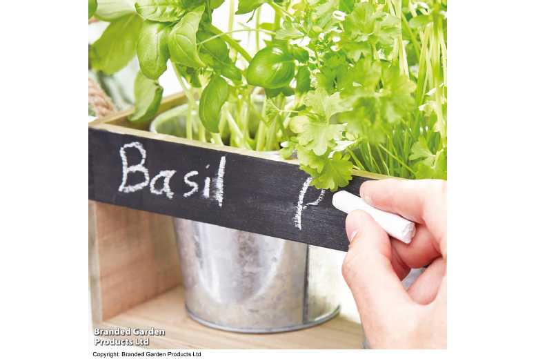 Grow Your Own Herbs - Windowsill Kit | Wowcher