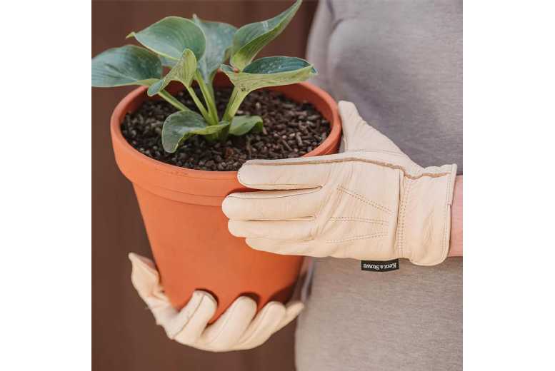 Kent & Stowe Medium Leather Water-Resistant Gardening Gloves | Wowcher