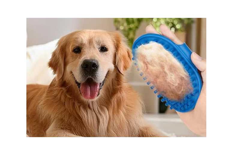 6PCS Dog Grooming Kit – Silicone Bath Gloves, Brushes & Toothbrushes for All Breeds | Wowcher