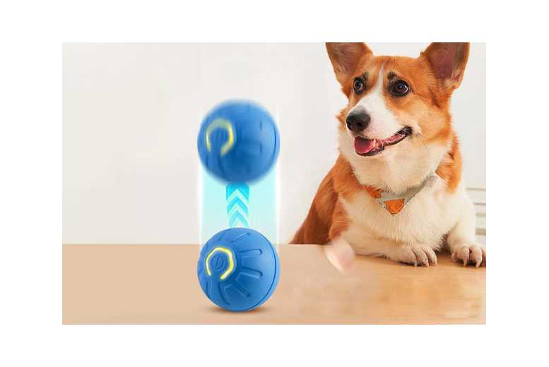 Automatic Jumping Vibrating Balls For Pet | Wowcher