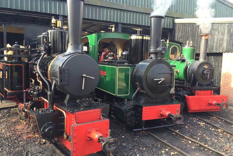 Bredgar & Wormshill Light Railway Tickets – Unlimited Steam Train Rides & Vintage Fun for All Ages – Kent, 2025 Dates, Family & Group Options | Wowche
