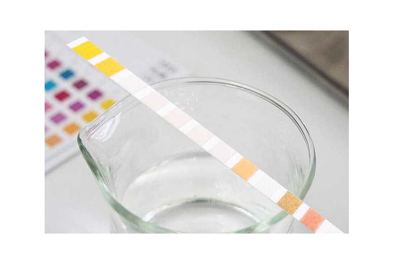 100 Strips 16-in-1 Home Water Quality Test Kit – DIY Water Safety Testing | Wowcher