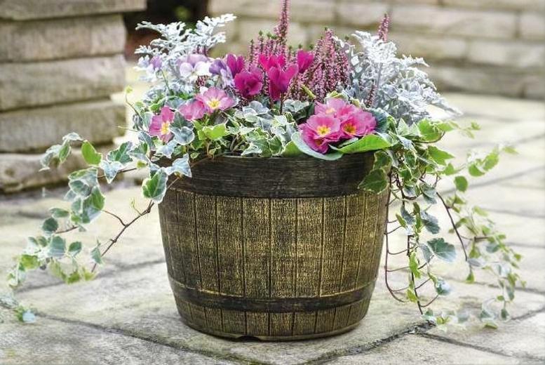 Whiskey Barrel Weatherproof Patio Plant Pots - Classic Garden Planters | Wowcher