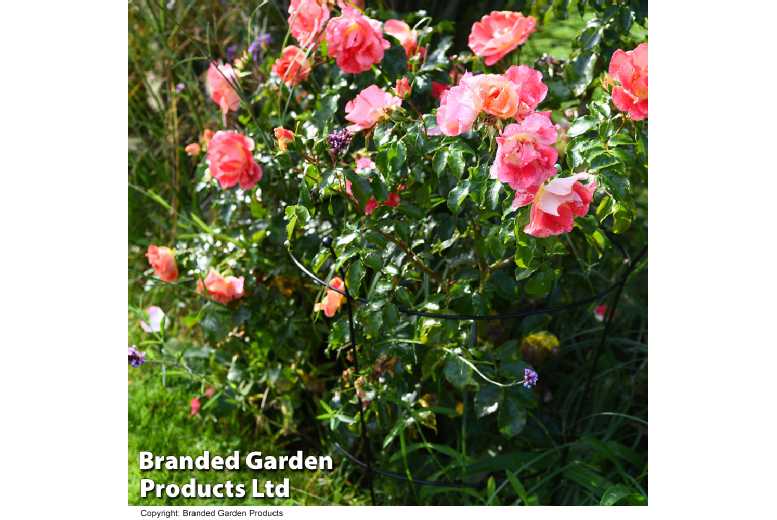 Weather-Resistant Metal Peony Plant Frame - Durable Garden Ornament & Outdoor Support (63 x 34cm) | Wowcher