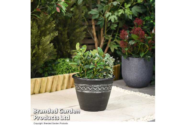 Roman-Greco Weatherproof Outdoor Planter – 27.5cm Lightweight Pot | Wowcher