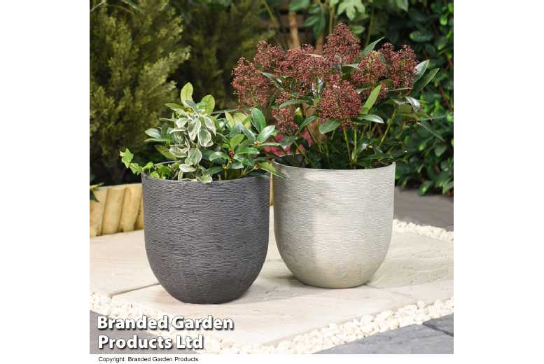 Stone Effect Dark Grey Planter – Lightweight, Weather-Resistant Pot | Wowcher