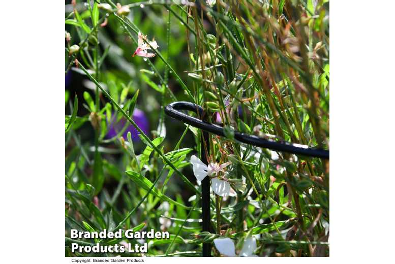 Versatile Half Round Plant Supports | Wowcher