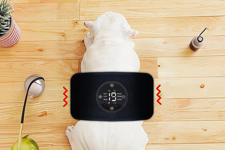 Rechargeable Pet Far-Red Light Therapy Device – with Remote Control | Wowcher