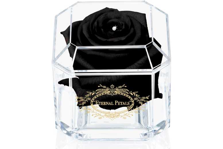 Eternal Petals Black Real Rose – Long-Lasting Indoor Decor | Wowcher