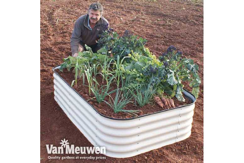 1 or 2 Original Veggie Bed Merino White 1 or 2 Original Veggie Bed Merino White
