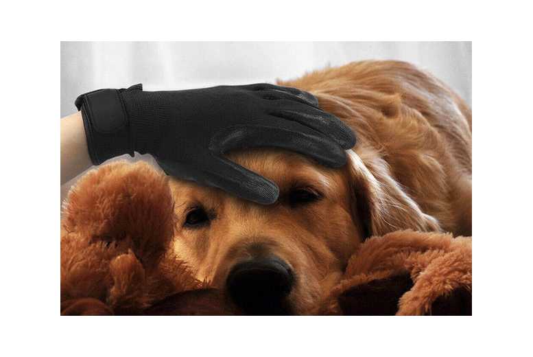 Pet Grooming Gloves for Small Animals – Gentle Hair Remover & Easy Clean, Universal Fit | Wowcher