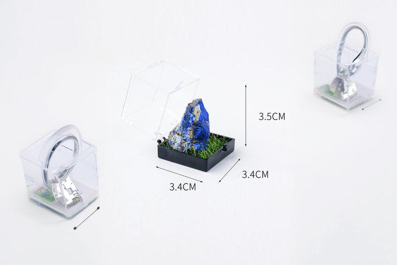 21 Unique Natural Crystal Mineral Specimens in Elegant Gift Box | Wowcher