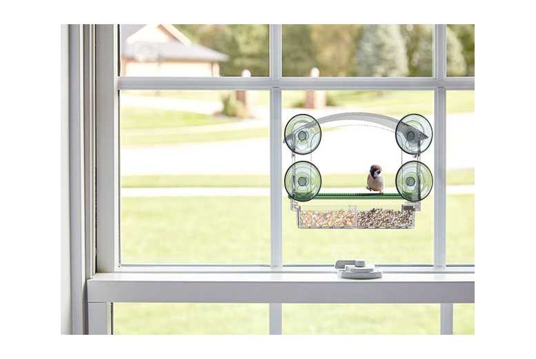Window-Mounted Clear Bird Feeder with Seed Tray | Wowcher Window-Mounted Clear Bird Feeder with Seed Tray | Wowcher
