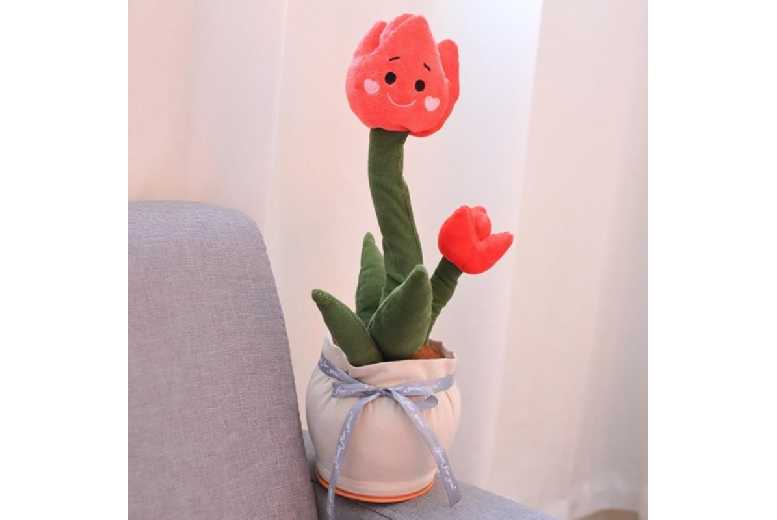 Interactive Dancing & Talking Flower Plush Toy – Educational, Battery-Operated, Ages 3+, Cactus Design | Wowcher