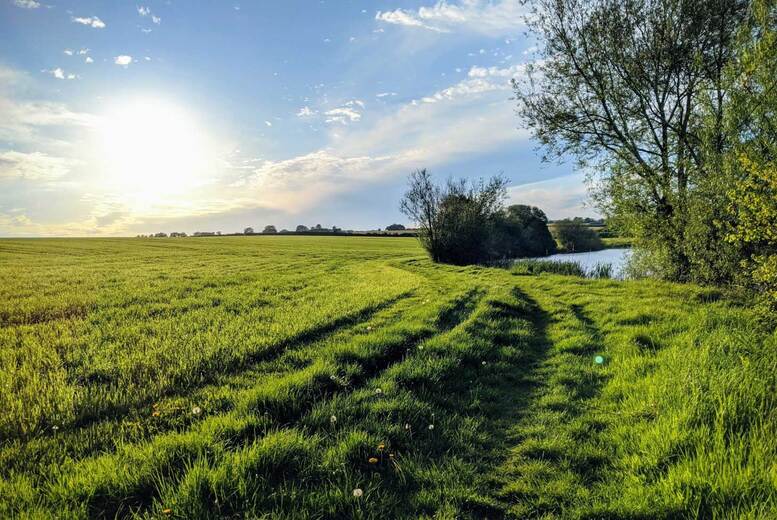 Somerset Country Escape for 2: Northover Manor Hotel Stay with Breakfast, Prosecco & Dinner Upgrade | Wowcher