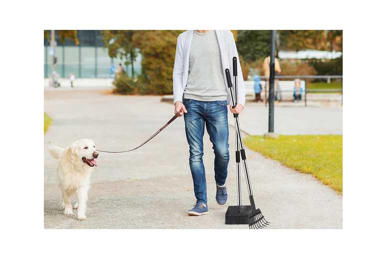 Dog Pooper Scooper Long Handle Stainless Steel Tray Rake Set | Wowcher
