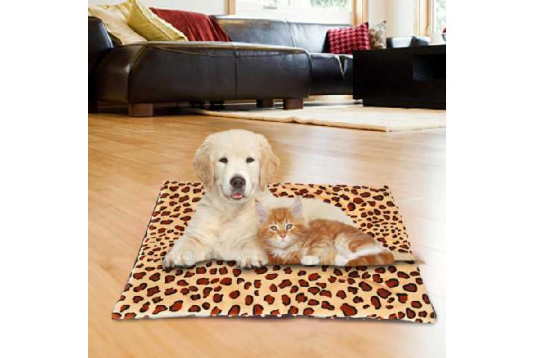 Electric Heating Pad for Dogs & Cats – Easy Clean, Anti-Slip, 37x47cm Pet Heated Mat | Wowcher