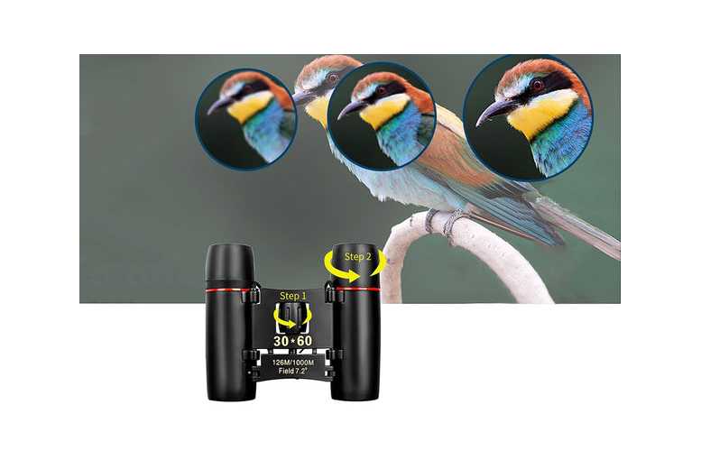 Unisex Black 30×60 HD Waterproof Compact Binoculars – Lightweight Pocket Telescope for Travel & Outdoors | Wowcher