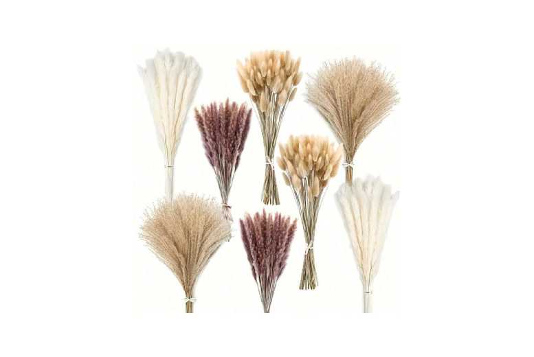 Dried Pampas Grass Bohemian Vase Filler – Natural Straw, 17″ Stems, Decorative Home Accent | Wowcher Dried Pampas Grass Bohemian Vase Filler – Natural Straw, 17″ Stems, Decorative Home Accent | Wowcher