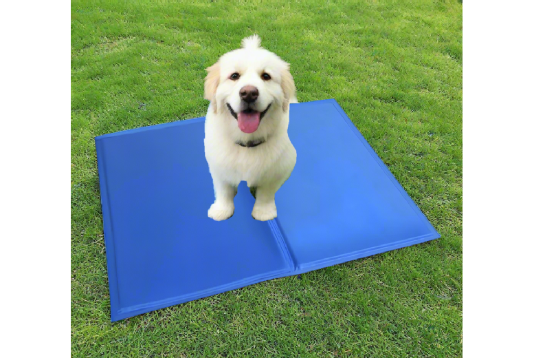 Non-Toxic Dog Cooling Gel Mat – Portable, Joint Support, Small Breeds, Blue or Grey, 40cm x 30cm | Wowcher