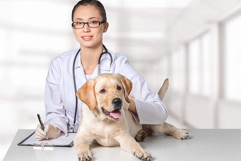 Veterinary deals