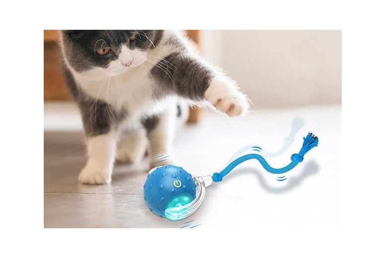 Interactive Motion-Activated Cat Toy Ball with Chirping Sound – USB Rechargeable, Multi-Surface Play | Wowcher Interactive Motion-Activated Cat Toy Ball with Chirping Sound – USB Rechargeable, Multi-Surface Play | Wowcher
