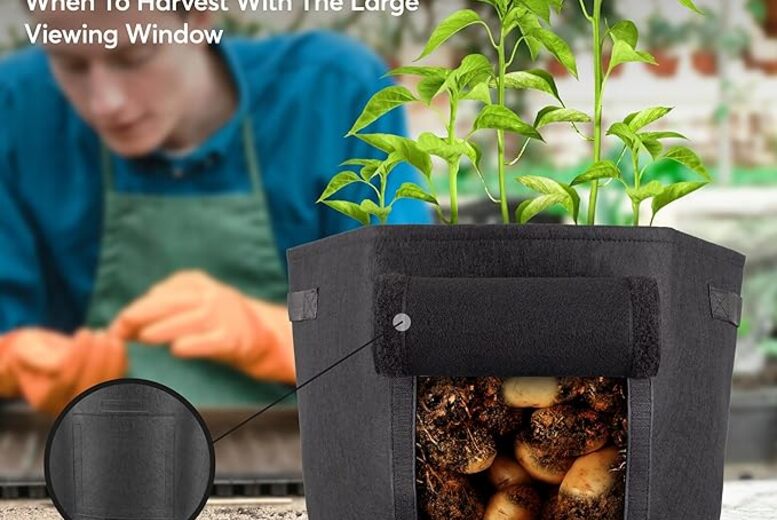 2pc Large Garden Grow Bags – Heavy-Duty Fabric Vegetable Planters with Handles & Harvest Window | Wowcher