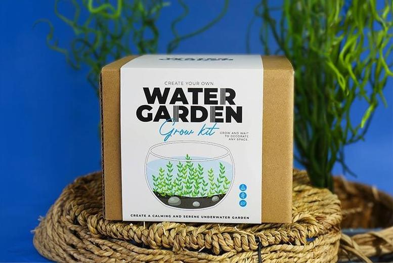 DIY Mini Water Garden Kit – Gift Republic | Wowcher