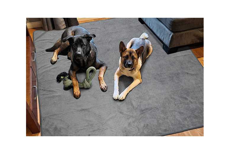 Coral Fleece Washable Non-Slip Small Pet Mat – Waterproof, Easy Clean, Multi-Size for Dogs, Cats & Small Animals | Wowcher Coral Fleece Washable Non-Slip Small Pet Mat – Waterproof, Easy Clean, Multi-Size for Dogs, Cats & Small Animals | Wowcher