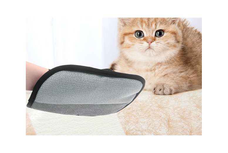 Pet Hair Removal Glove for Small Pets – Five-Finger Electrostatic Grooming Mitt, Washable & Double-Sided | Wowcher Pet Hair Removal Glove for Small Pets – Five-Finger Electrostatic Grooming Mitt, Washable & Double-Sided | Wowcher