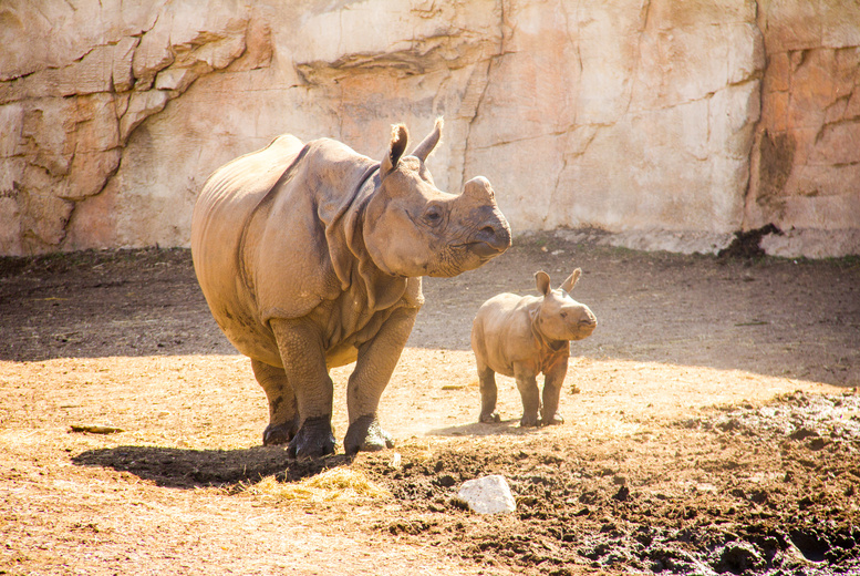 4* Benidorm Beach Holiday: Bed & Breakfast, Flights & Terra Natura & Aqua Natura Tickets Included | Wowcher 4* Benidorm Beach Holiday: Bed & Breakfast, Flights & Terra Natura & Aqua Natura Tickets Included | Wowcher