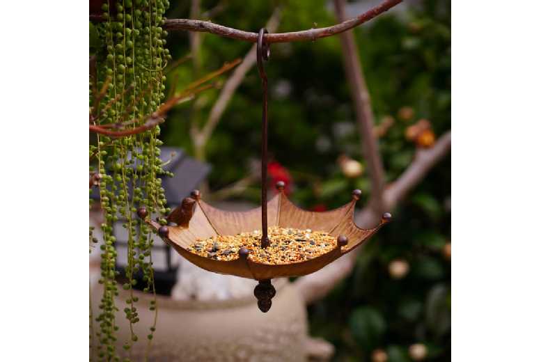 Weather-Resistant Iron Hummingbird Feeder – Umbrella Design, Easy-Clean, Wildlife-Friendly | Wowcher