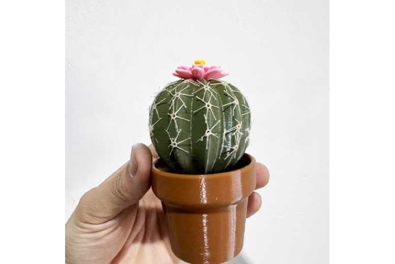 Ceramic Cactus Seasoning Bottle – Decorative Salt & Pepper Shaker | Wowcher Ceramic Cactus Seasoning Bottle – Decorative Salt & Pepper Shaker | Wowcher