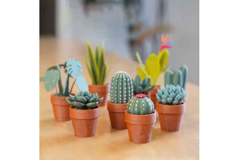 Decompression Potted Plant Desk Decor Set – 6-Piece Cactus Stress Relief Toy, Lightweight Plastic, Modern Style | Wowcher Decompression Potted Plant Desk Decor Set – 6-Piece Cactus Stress Relief Toy, Lightweight Plastic, Modern Style | Wowcher