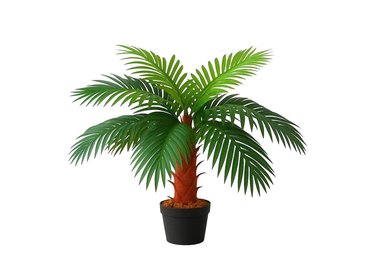 Lifelike 100cm Artificial Palm Tree in Sturdy Pot – Low Maintenance Decor | Wowcher