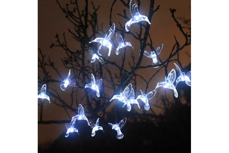 Solar LED Hummingbird String Lights – 5m, Waterproof Outdoor Garden Lighting | Wowcher