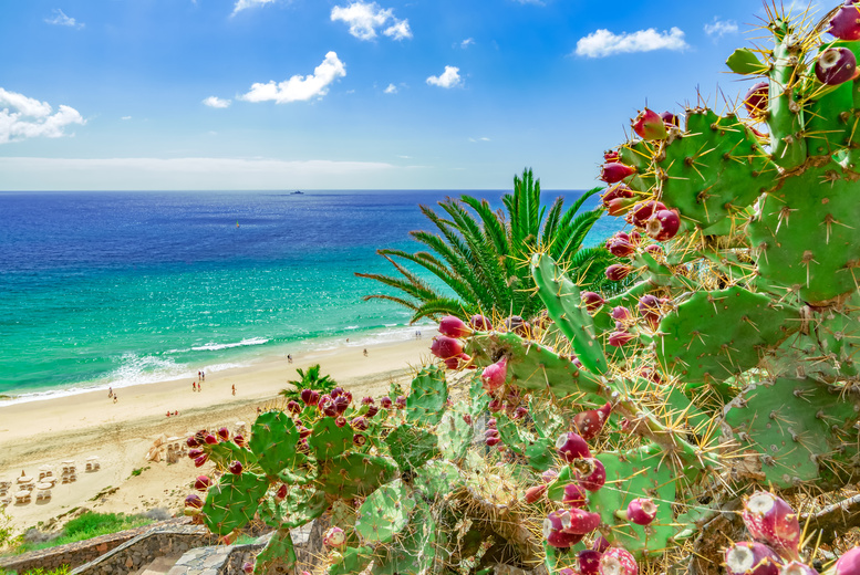 4* All Inclusive Fuerteventura Beach Holiday with Return Flights! | Wowcher 4* All Inclusive Fuerteventura Beach Holiday with Return Flights! | Wowcher
