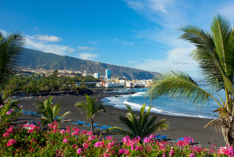 4* Self-Catering Tenerife Beach Holiday with Return Flights! | Wowcher 4* Self-Catering Tenerife Beach Holiday with Return Flights! | Wowcher