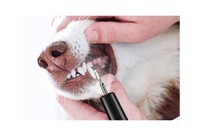 Ultrasonic Pet Plaque Remover & Teeth Cleaner for Dogs, Cats, Small Pets – Portable, Adjustable, Complete Kit | Wowcher