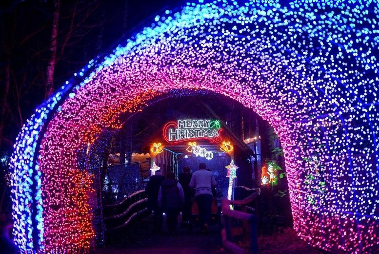Winter Wonderland 2025 – Meet Santa & Explore Christmas Lights at CONKERS Discovery Centre | Wowcher