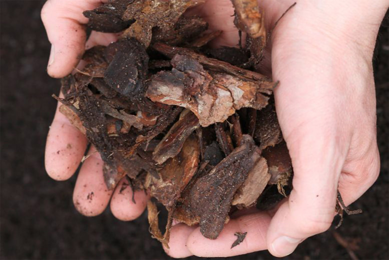 Decorative Garden Bark Mulch - Natural Spruce, 80L Bags | Wowcher