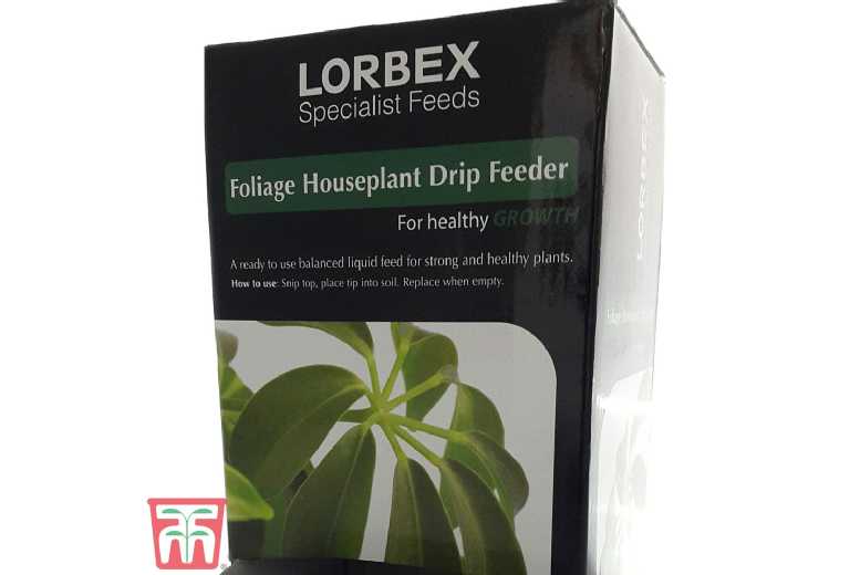 10 Pack Foliage Houseplant Drip Feeders – Easy Plant Care Solution | Wowcher