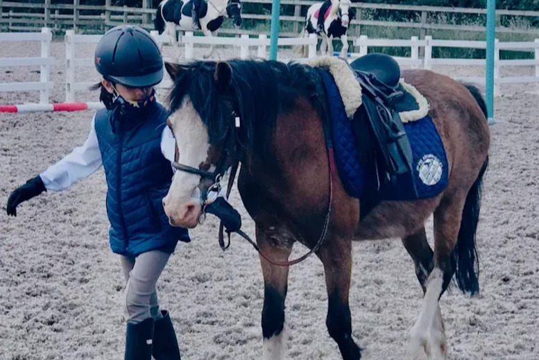 1 Hour Pony Experience for Children – Includes Grooming & Feeding – Upper Hatton Stables, Wolverhampton | Wowcher