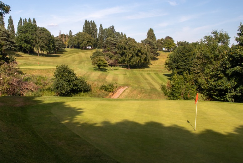 One-Hour Golf Lesson with Expert PGA Professional Coach | Wowcher